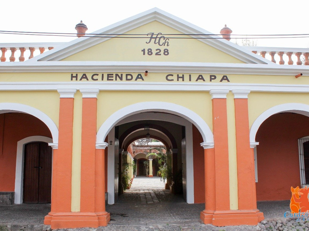 Corazon de Colima Tours-Colima必去景点