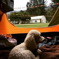 Periland Eco Parque & Camping景点图片