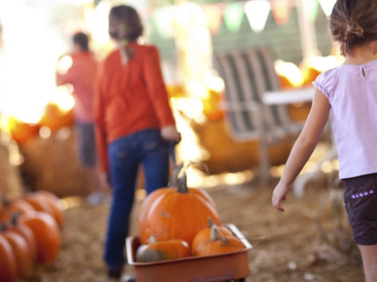 Yule Forest-Stockbridge必去景点