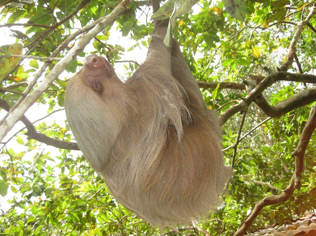 Dos Loritos-Paucartambo必去景点