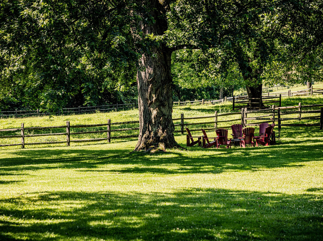 The Inn at Grace Winery主图