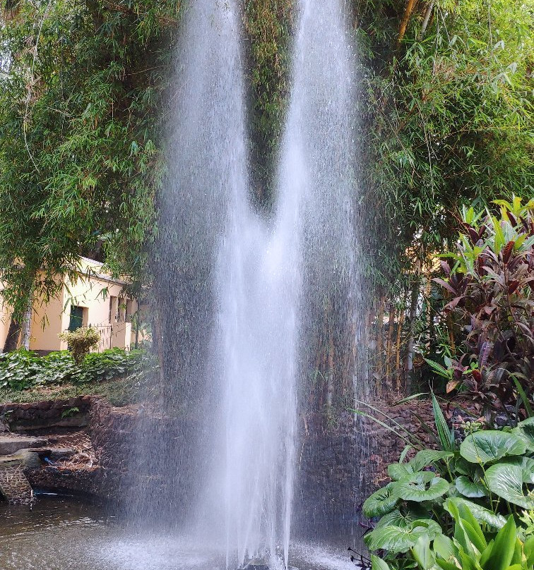 Jardim de Sao Francisco-沙尔必去景点