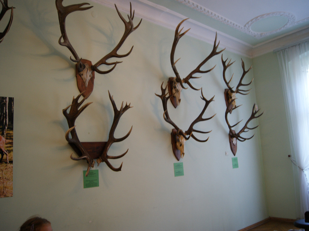 Museum of Natural Environment and Hunting景点图片