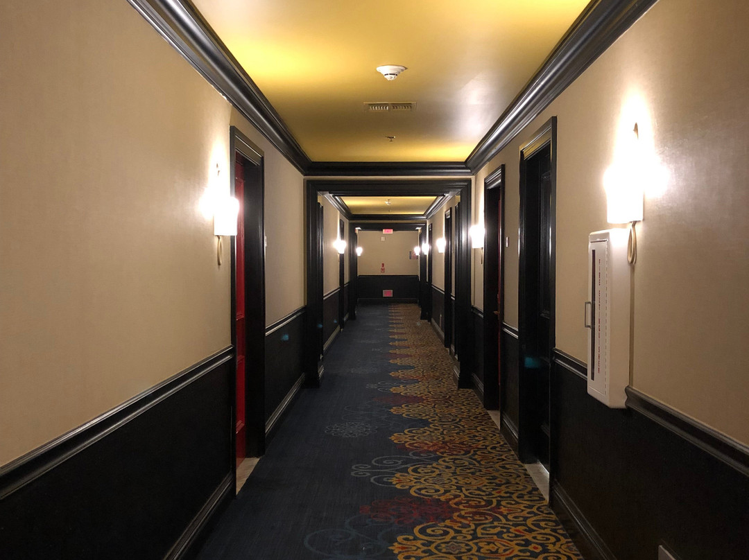 阿尔冈昆签名典藏酒店主图