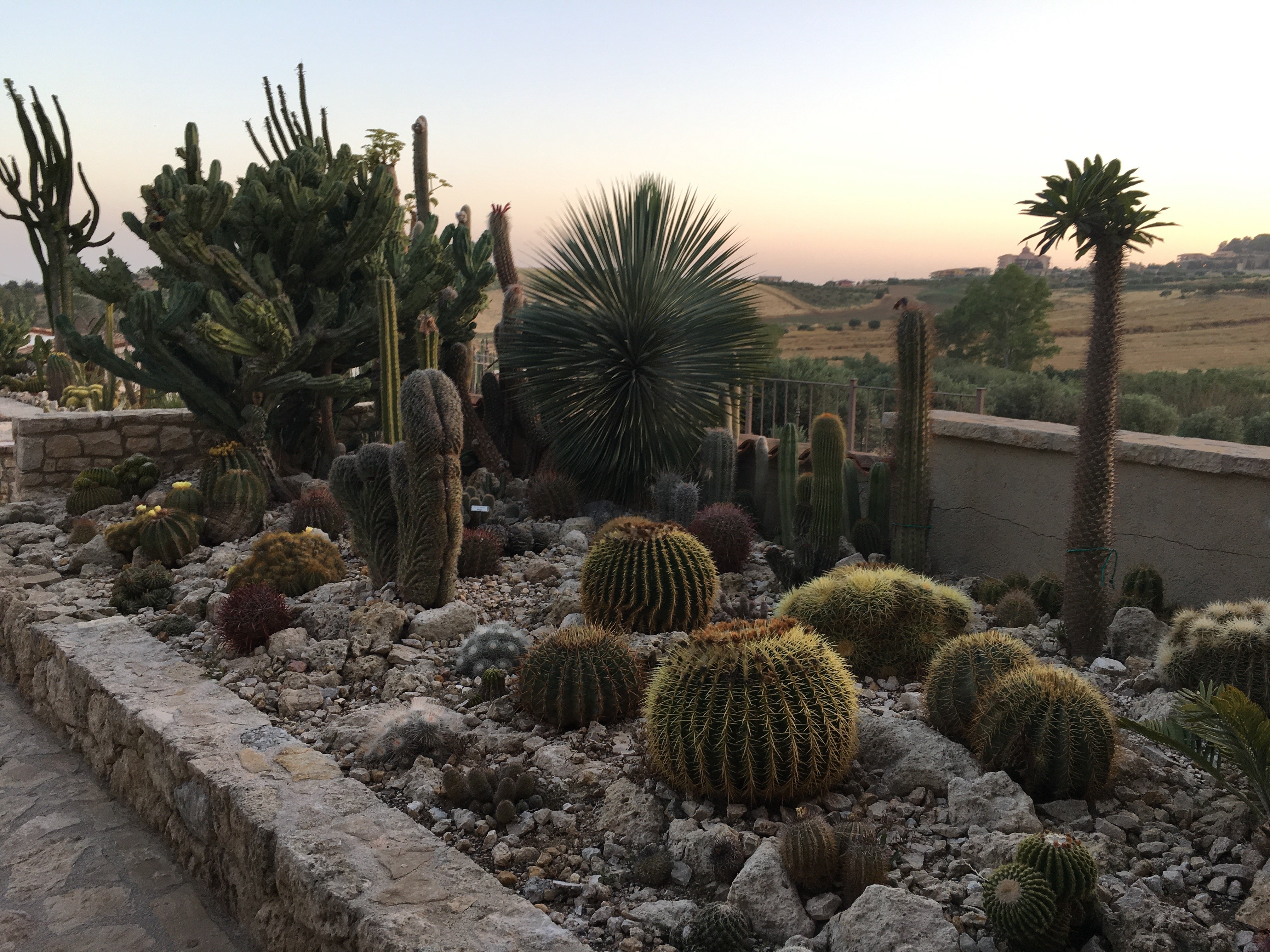 Garden Cactus - Relais, Suite de Charme and Botanical Park-浴室