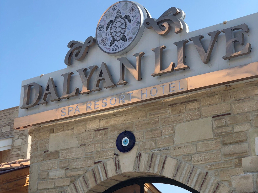 Palmiye Resort Hotel Dalyan主图