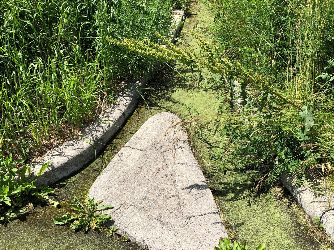 Club 6 Mini Golf and Driving Range-Morriston必去景点