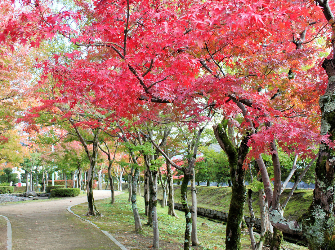 Kasumigajo Park景点图片