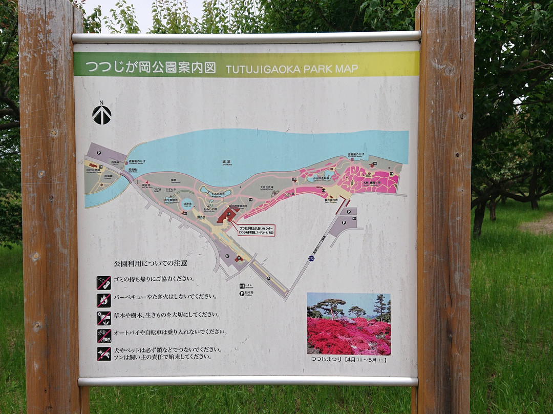 Tsutsujigaoka Park景点图片