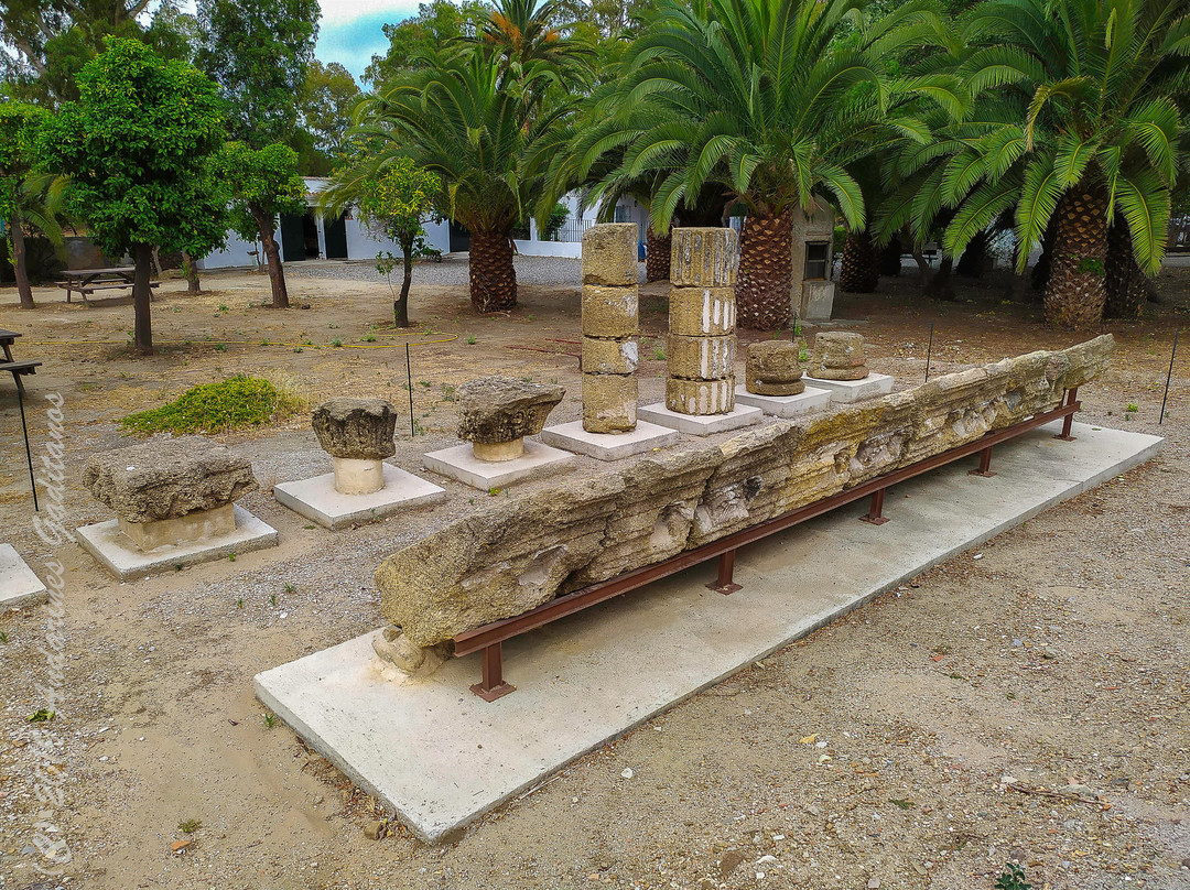 Enclave Arqueologico de Carteia景点图片