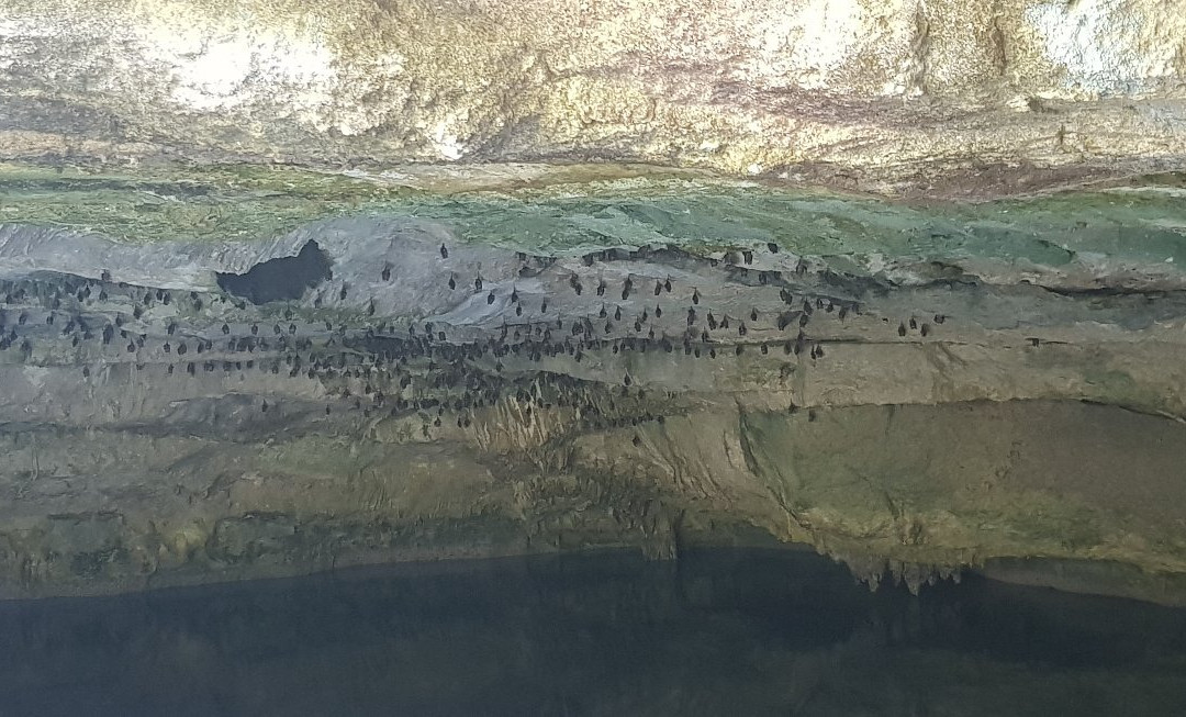 Ben's Cave景点图片