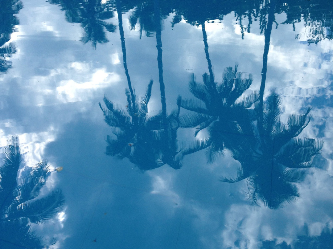 维顿度假酒店主图