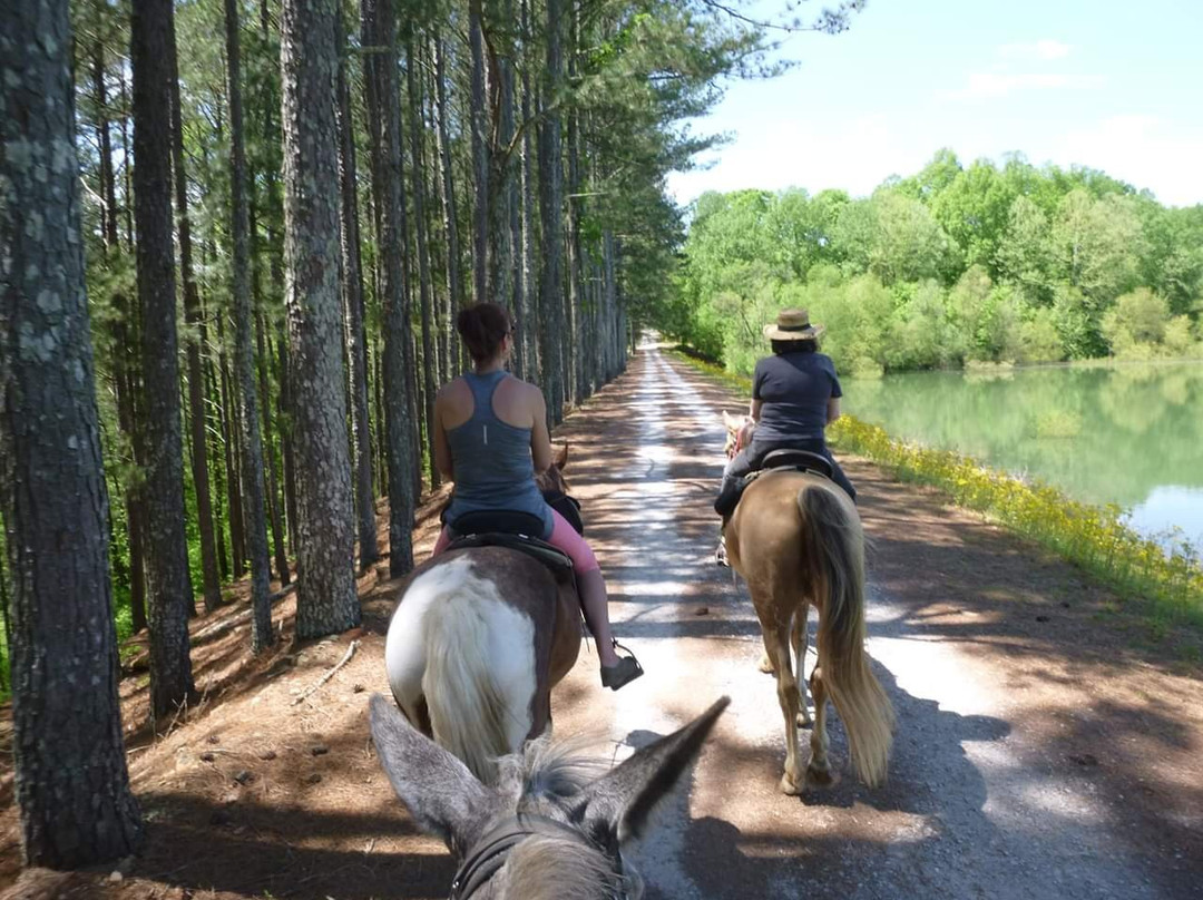 Yanahli Preserve and Horse Trails-哥伦比亚必去景点