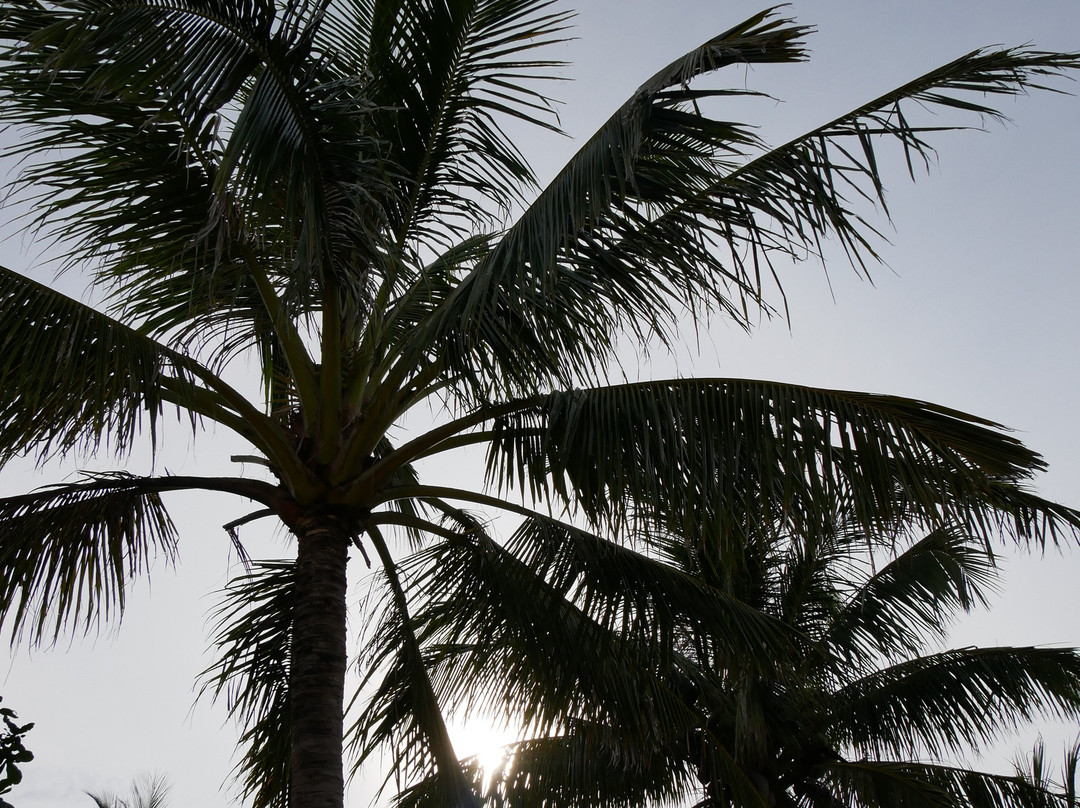 马拉帕酷亚异国岛屿潜水海滩度假村主图