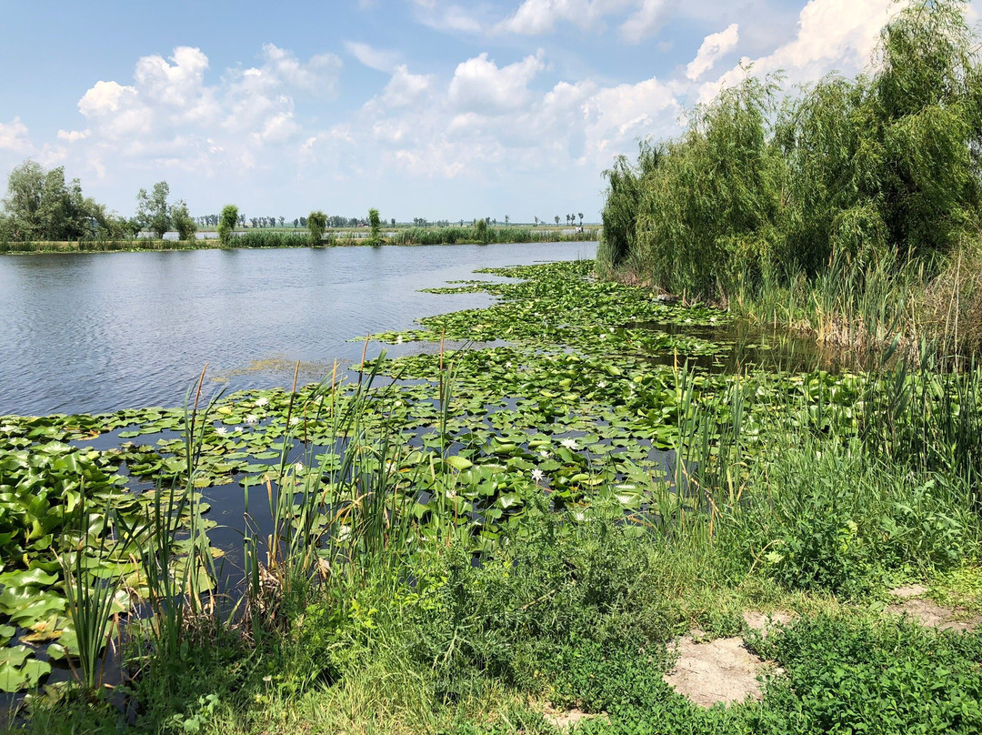 Comana Nature Park景点图片