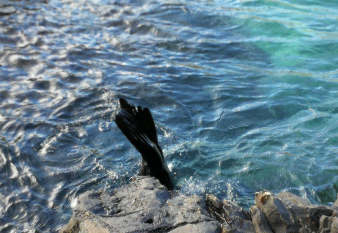 Blowhole Beach景点图片