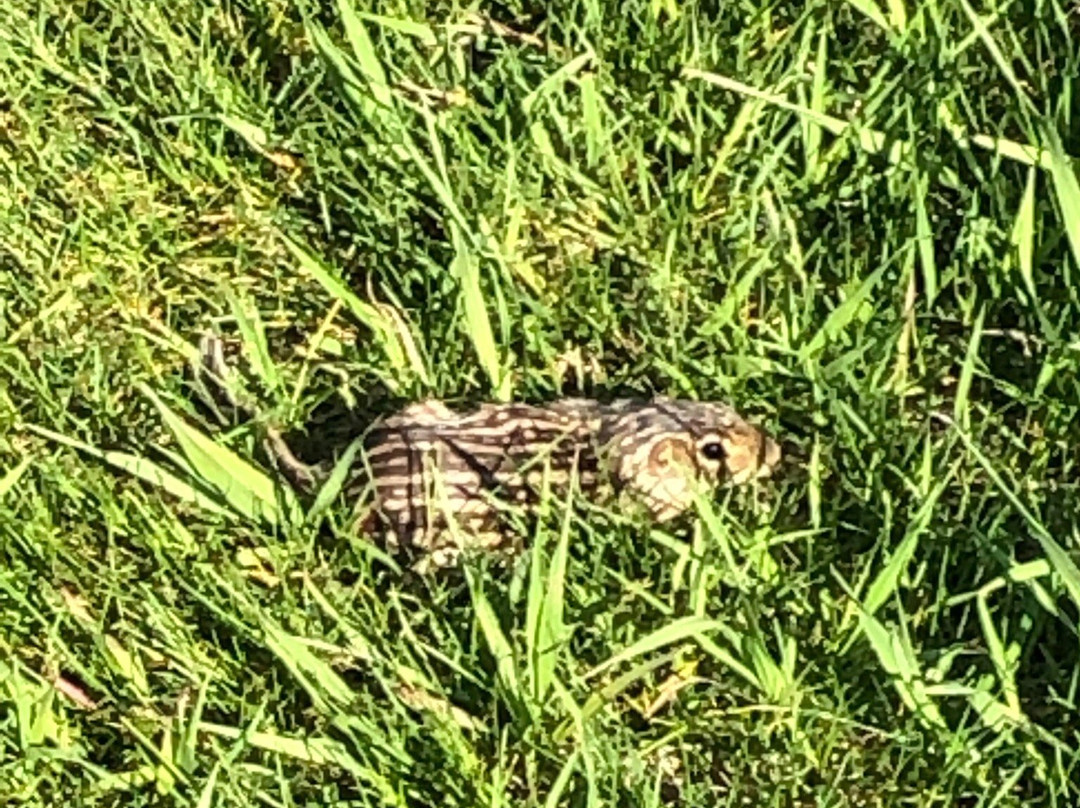 Glacial Lakes State Park-Starbuck必去景点