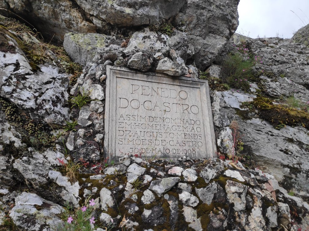 Miradouro De Penacova景点图片