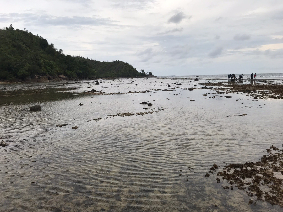 Rantaukasai旅游攻略图片