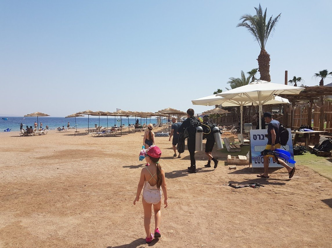 兰花礁酒店主图