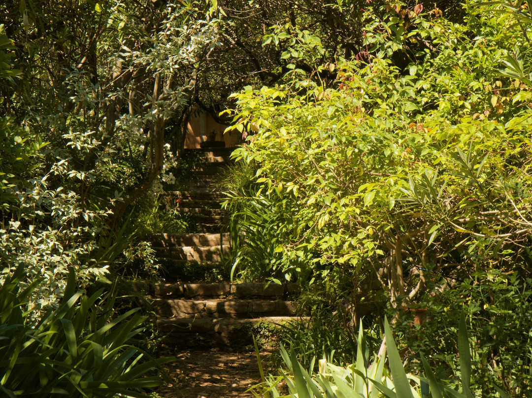 Jardin Botanique Du Baudouvin景点图片