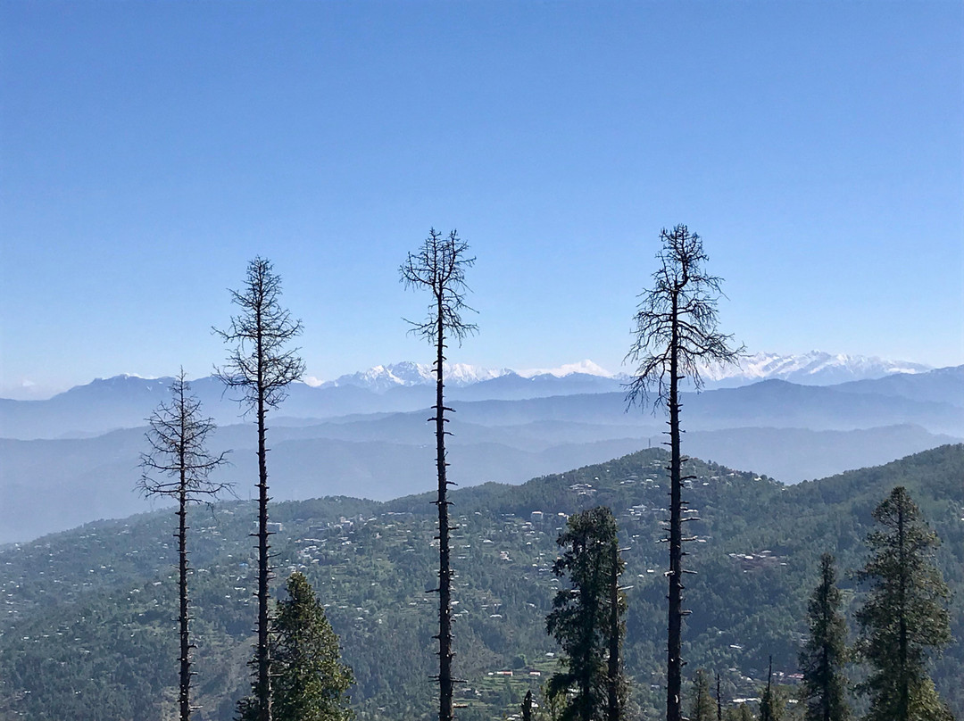 The Mont Calm Suites主图