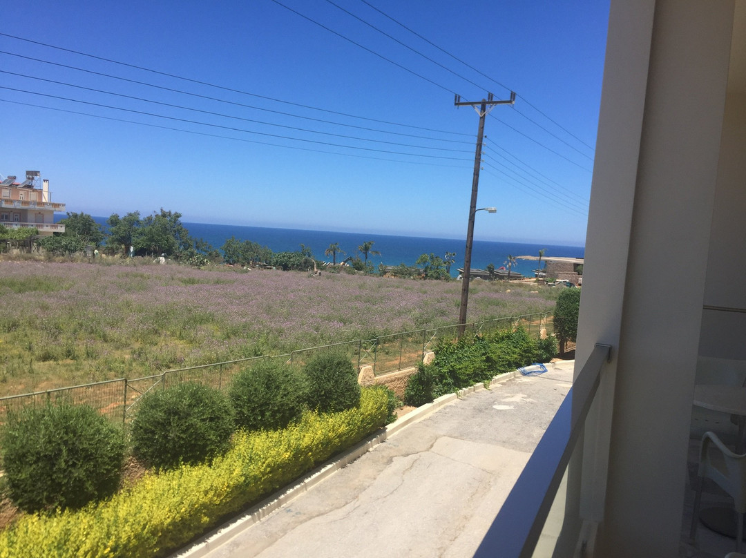 Hotel Kedrissos主图