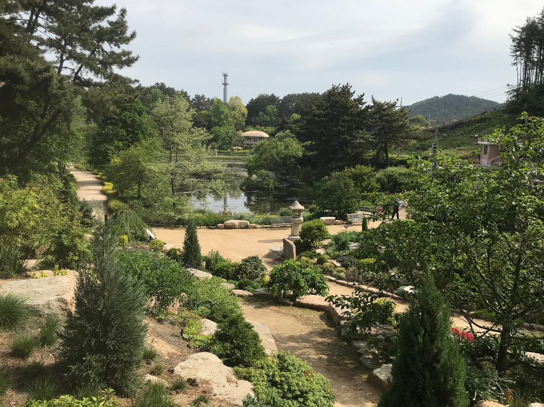 Chollipo Arboretum-泰安郡必去景点