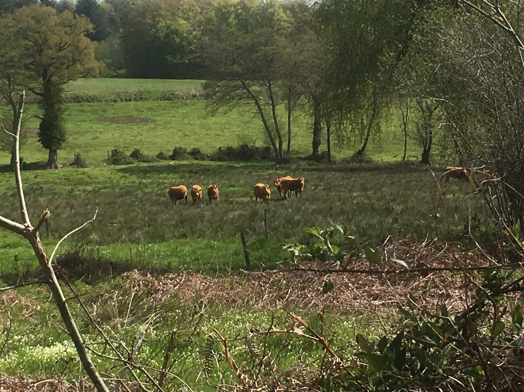 Les Quatre Saisons主图