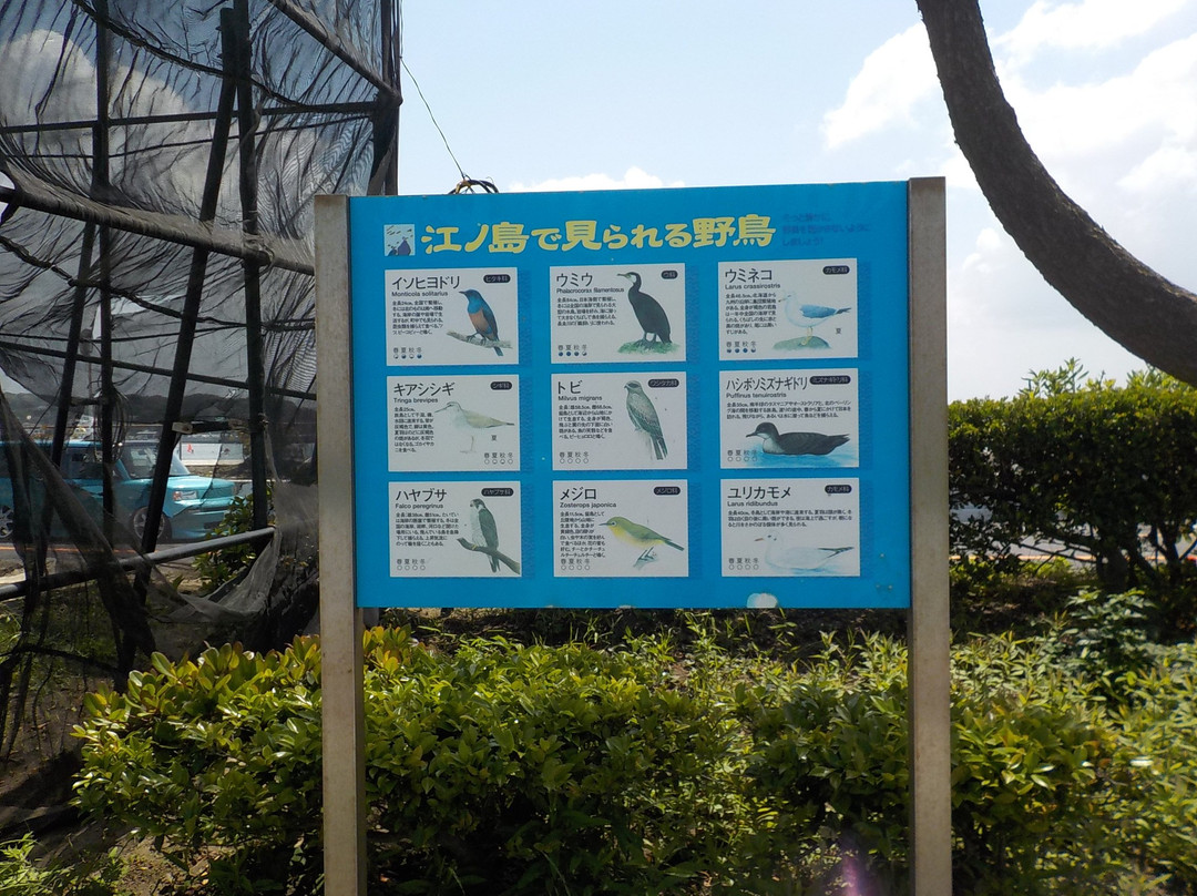 Katase Higashihama Beach-藤泽市必去景点