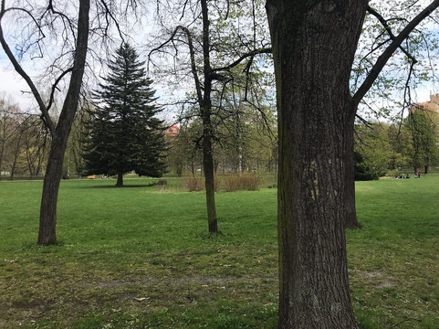 Komenskeho sady-俄斯特拉发必去景点