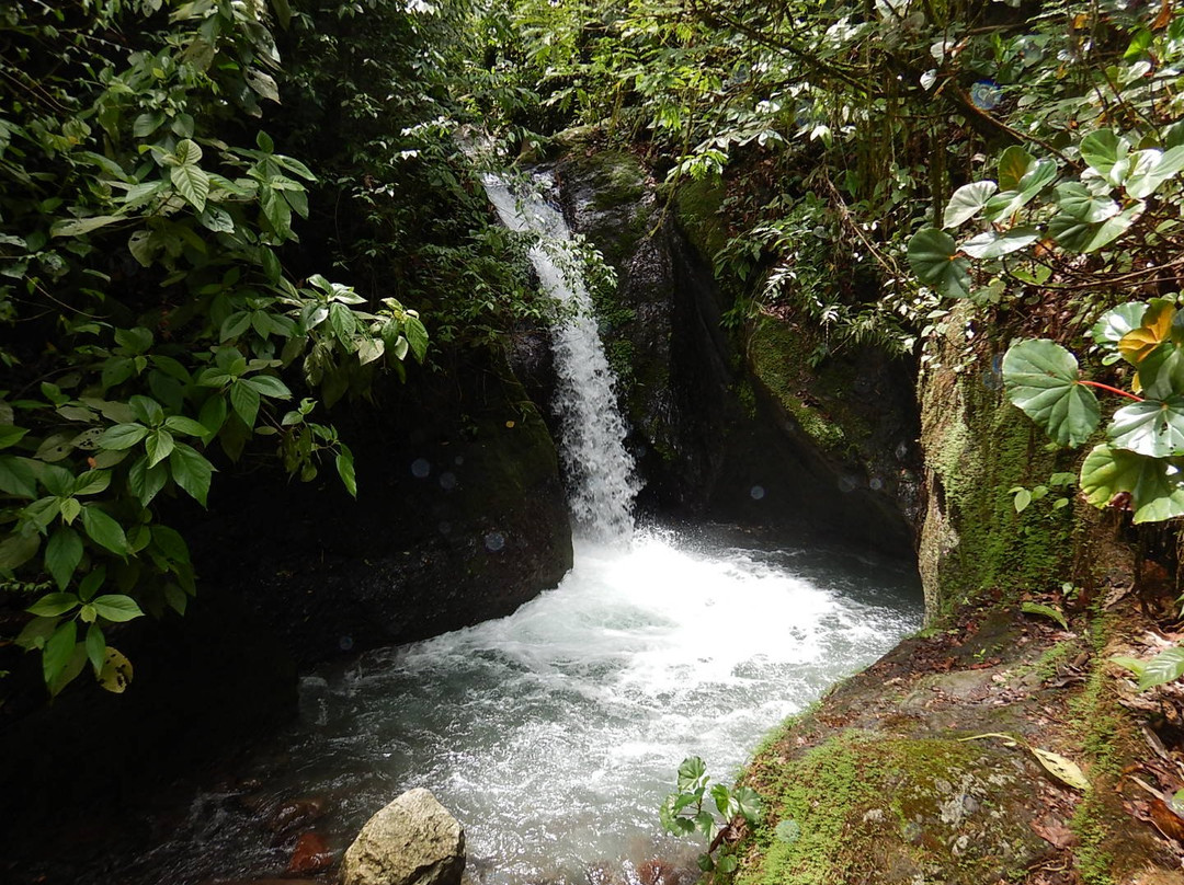 MidWorld Costa Rica景点图片