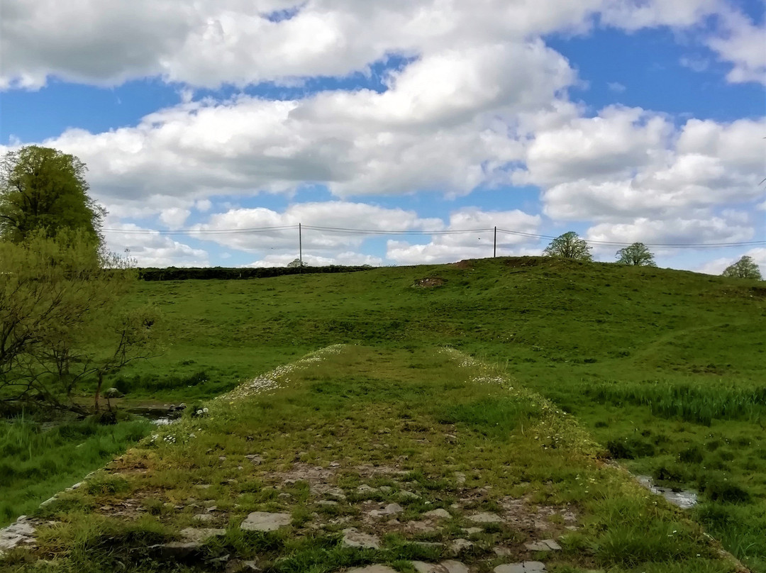Athassel Priory-蒂珀雷里必去景点