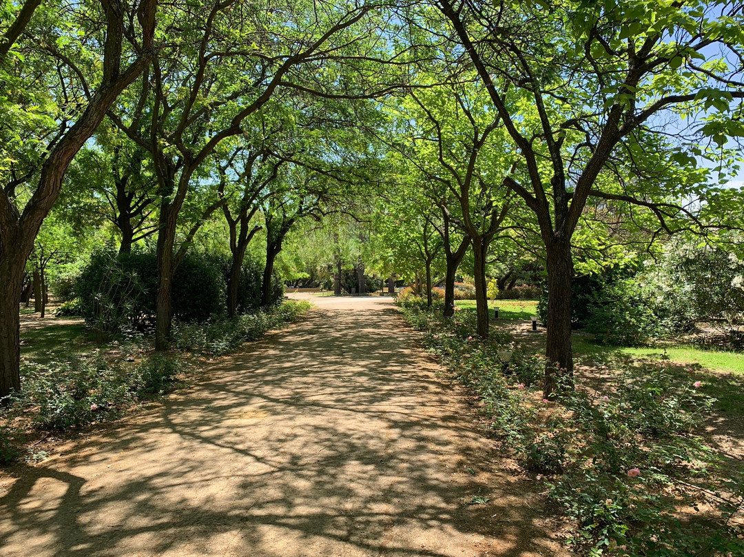 Jardin Botanico El Arboreto景点图片