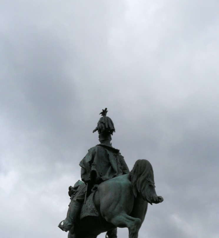 Statua Vittorio Emanuele II-诺瓦拉必去景点