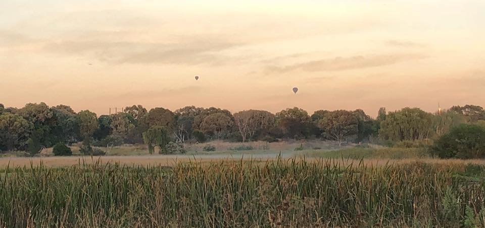 Jerrabomberra Wetland景点图片