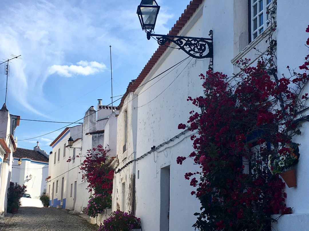 Casa de Terena主图