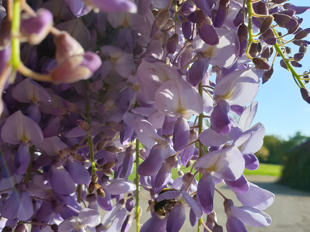 Fritton Lake - The Clubhouse主图