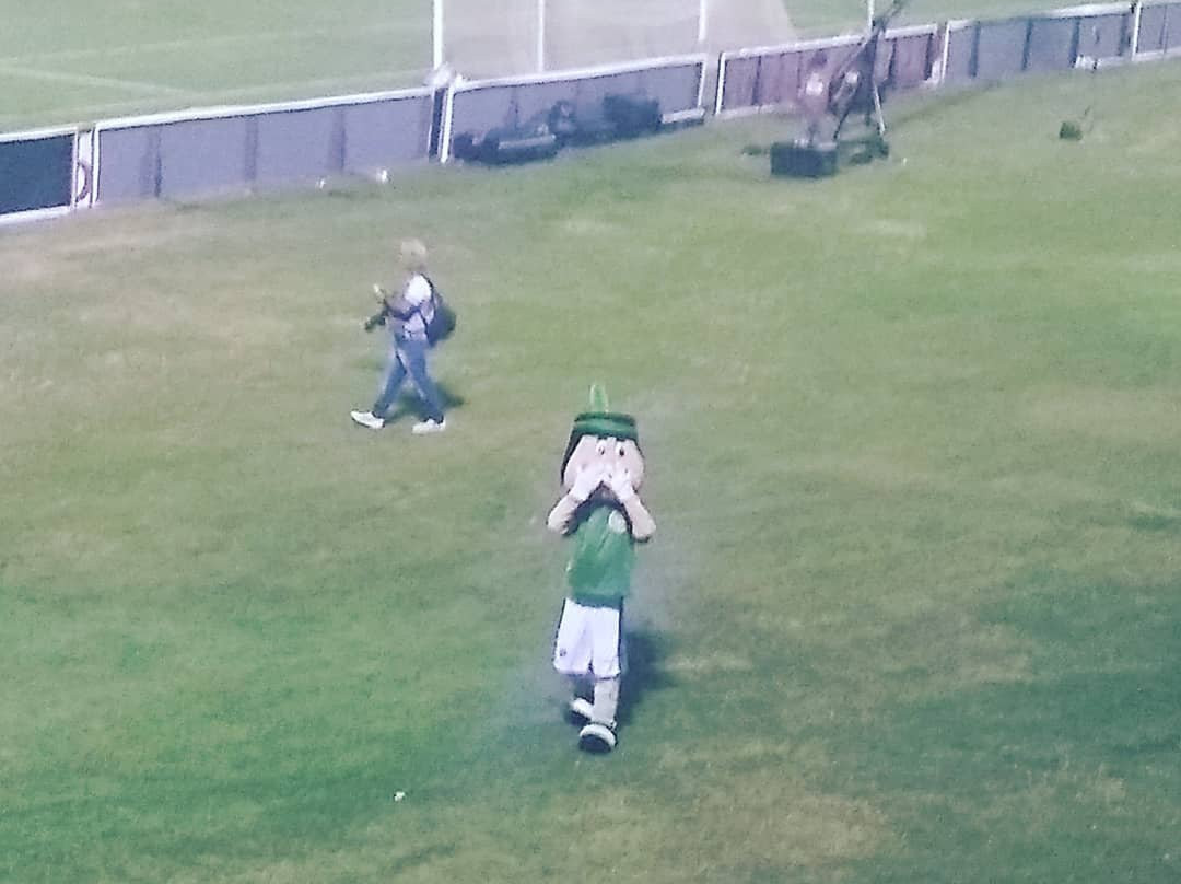 Brinco de Ouro da Princesa stadium-坎皮纳斯必去景点