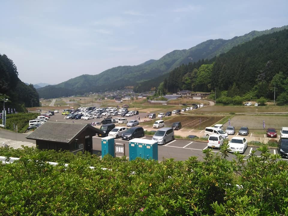 Shirai Omachi Fuji Park-朝来市必去景点