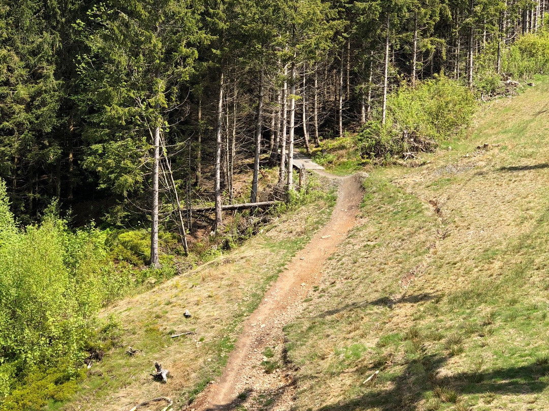 Bikepark Hahnenklee景点图片