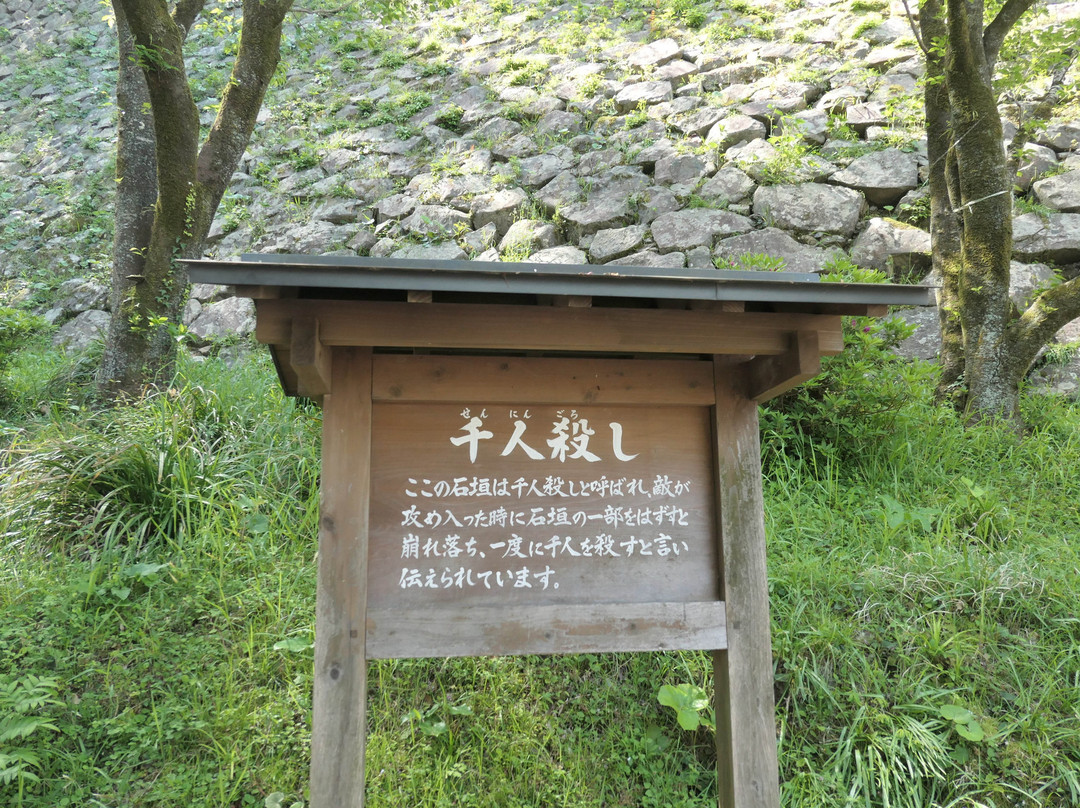 Nobeoka Castle Ruins Shiroyama Park景点图片