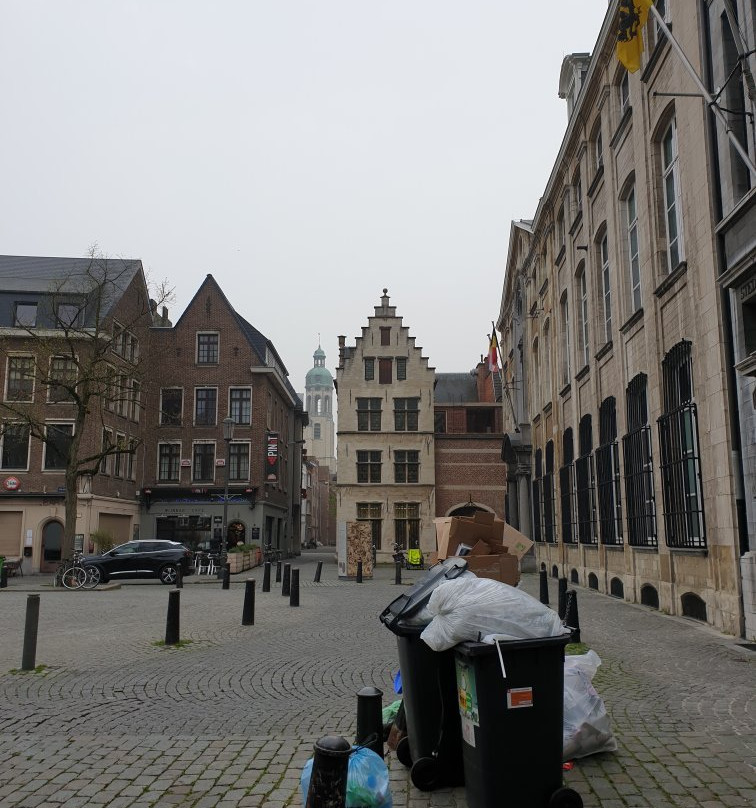 Vrijdagmarkt-安特卫普必去景点