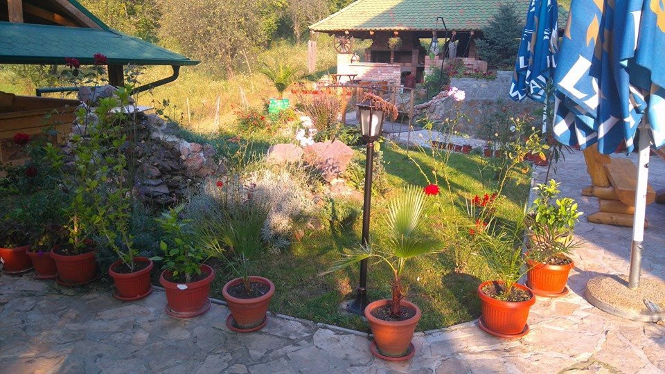 Fruskogorska Terasa主图