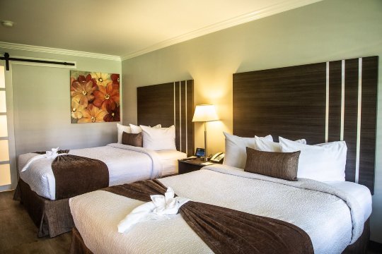 棕榈树花园酒店-官方