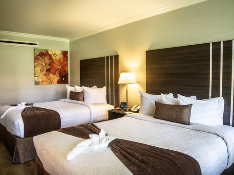 棕榈树花园酒店主图