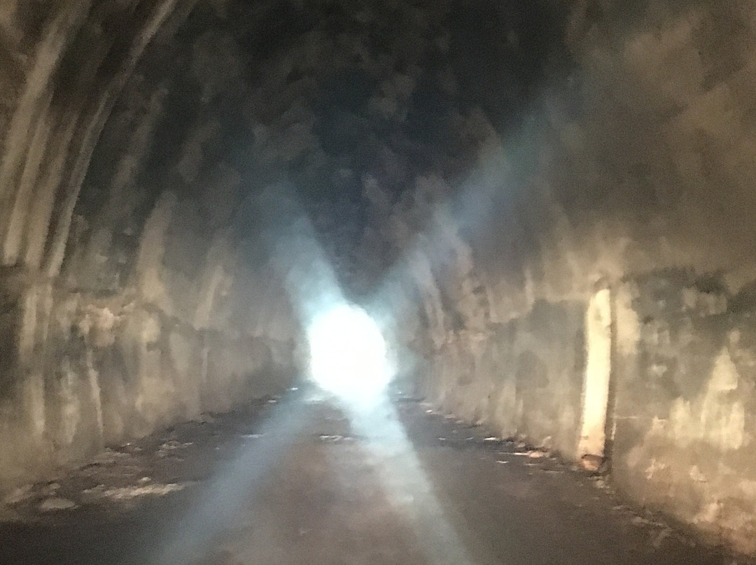 Knolley's Tunnel-Tabaquite必去景点