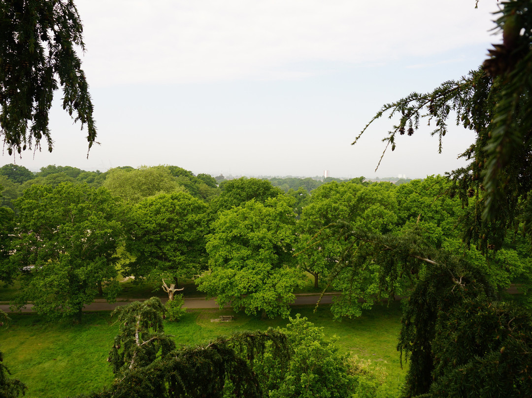 Southampton Common-南安普敦必去景点