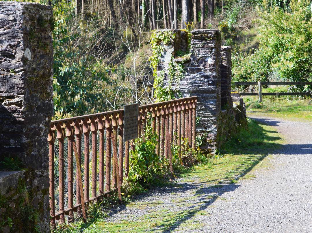 Glenbower Wood-Killeagh必去景点