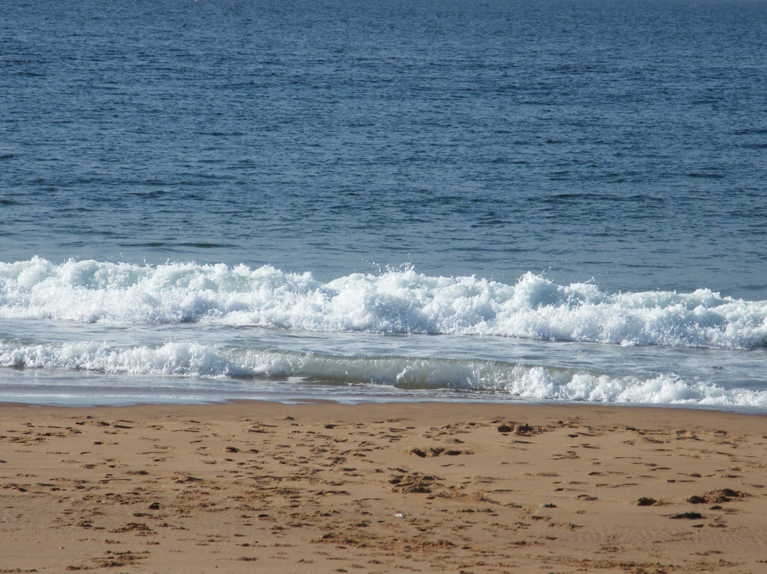 Red Point Beach景点图片